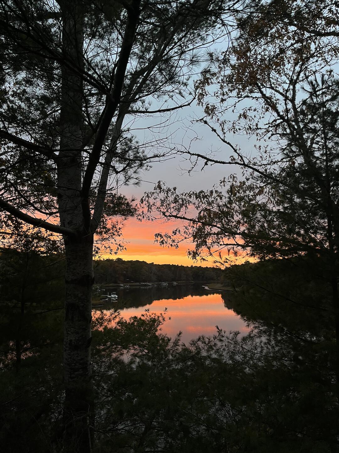 71 Buccaneer Way Mashpee, MA 02649 - Photo 28 of 32 a view of lake from yard