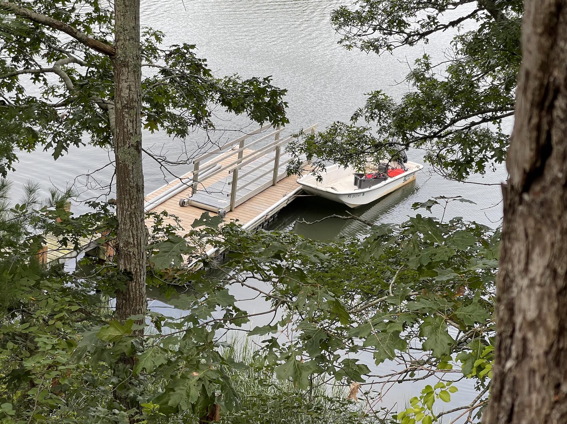 71 Buccaneer Way Mashpee, MA 02649 - Photo 29 of 32 a backyard of a house with lots of green space