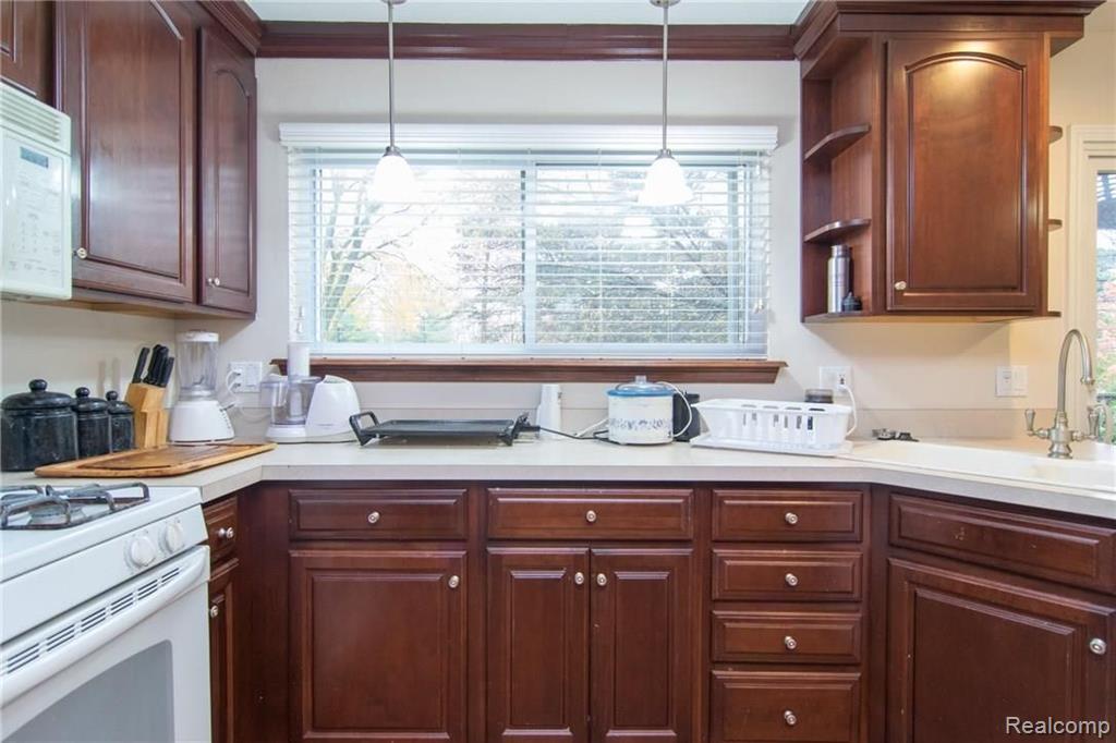 868 Lion Street Rochester Hills, MI 48307 - Photo 13 of 42