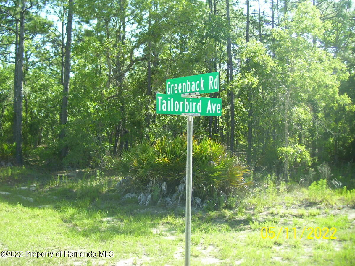 2 Greenback Road Homosassa, FL 34446 - Photo 5 of 6