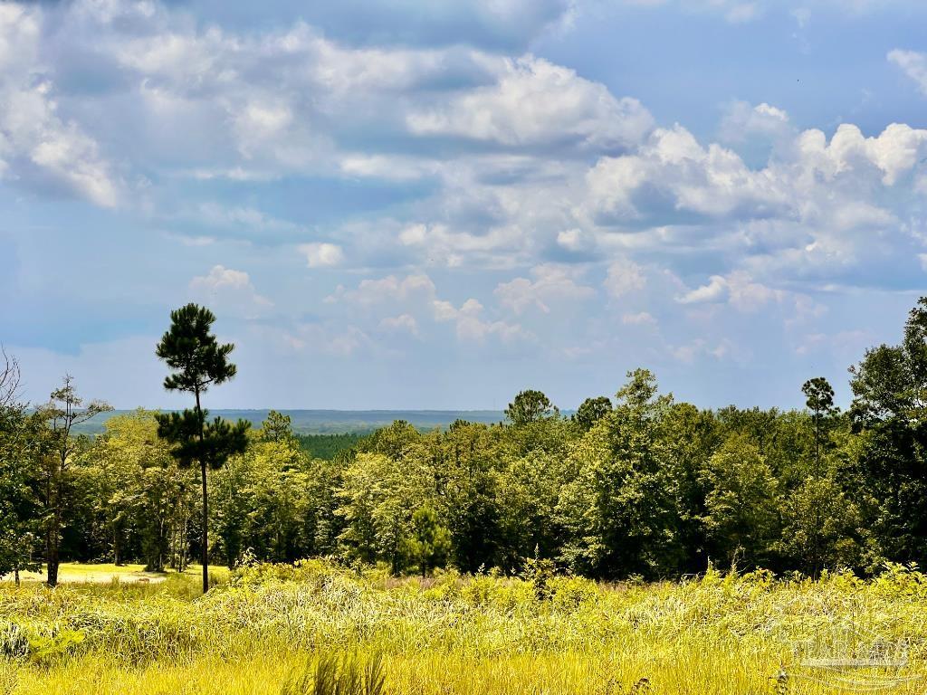 Lot 35-mbn Molino Bridge Road Pace, FL 32571 - Photo 4 of 8