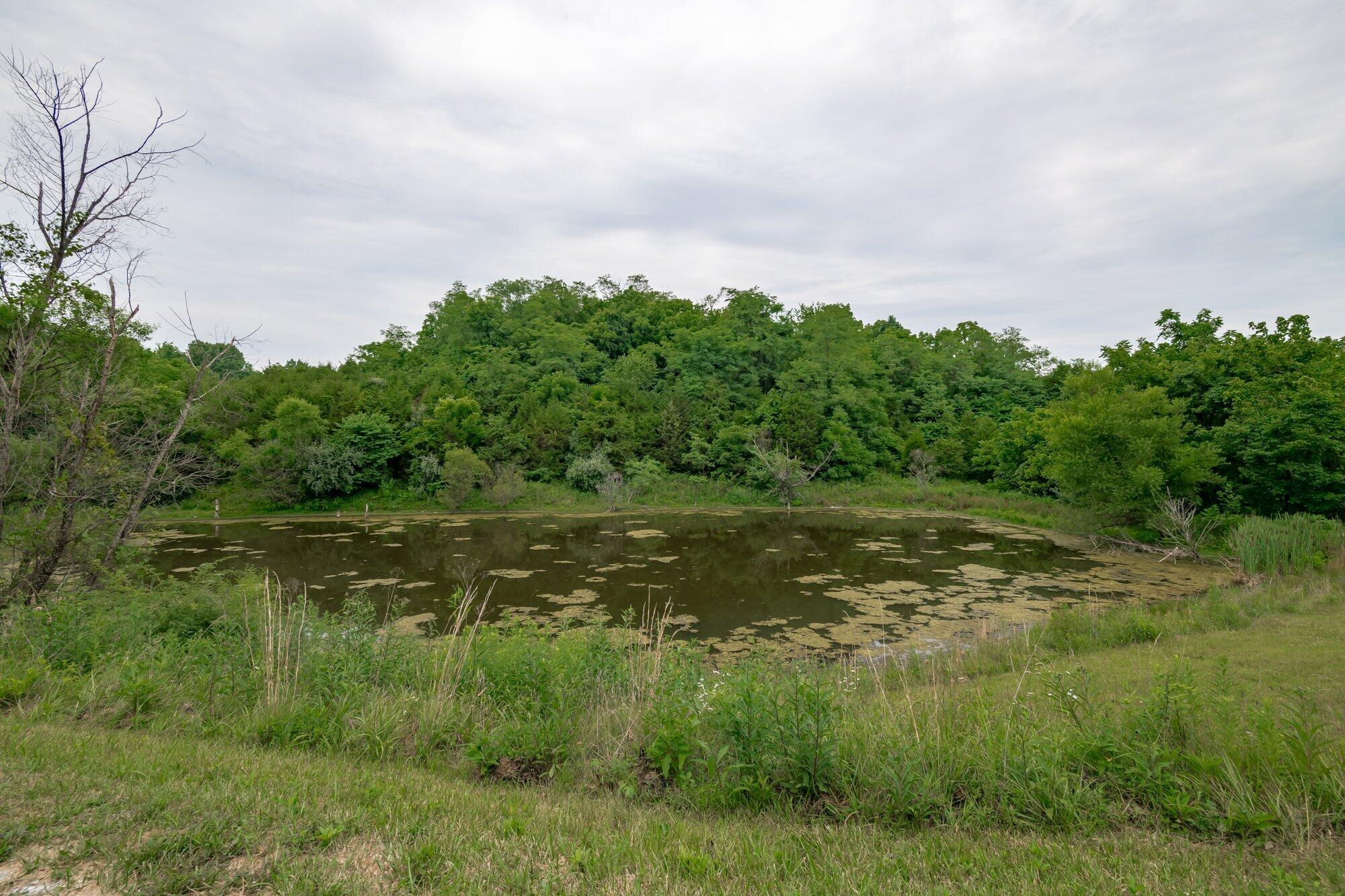 2344 Whitson Road Cynthiana, KY 41031 - Photo 31 of 39 2344_whitson_rd_7_9_24-032.jpg-SMALL