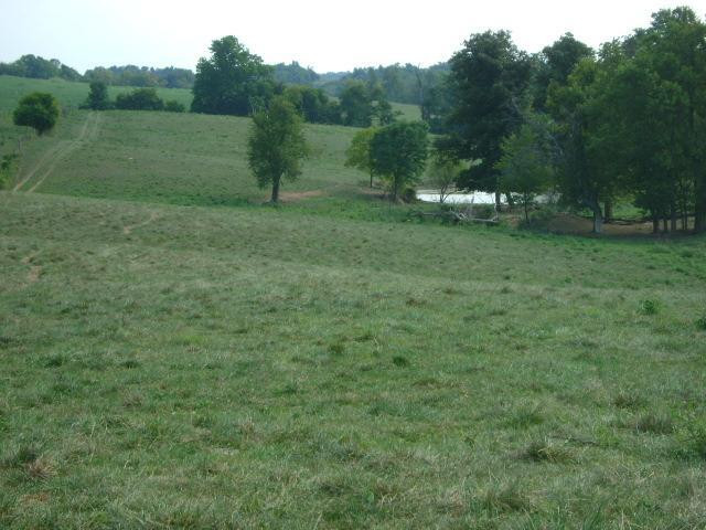 1156 Knob Lick Road Stanford, KY 40484 - Photo 4 of 11 Photo 4