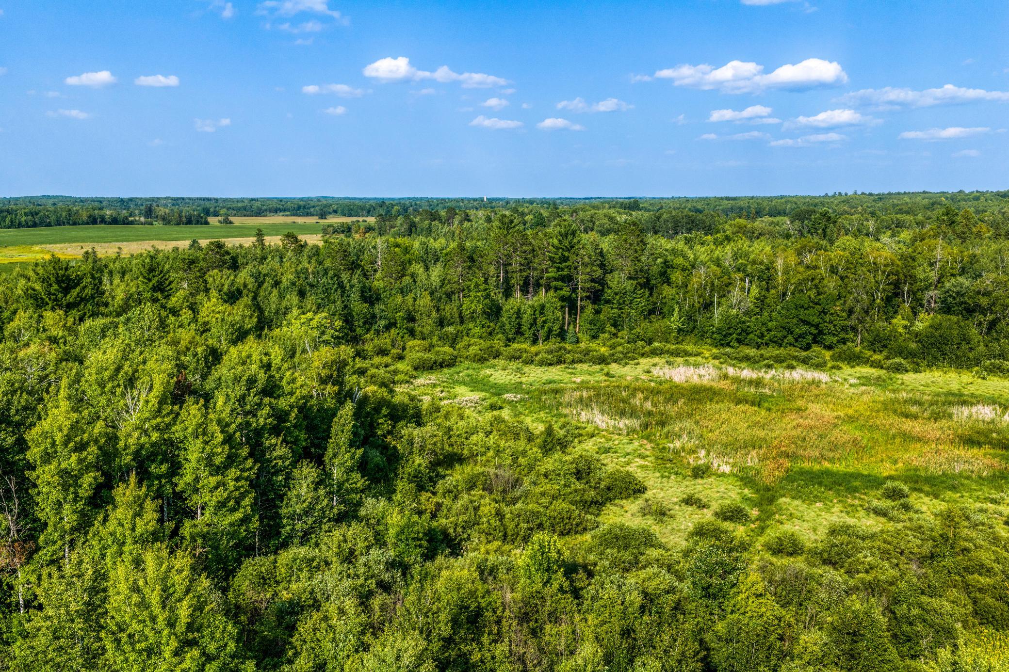 Tbd Buzzle Road Northwest Shevlin, MN 56676 - Photo 13 of 15 Gallery Image 13