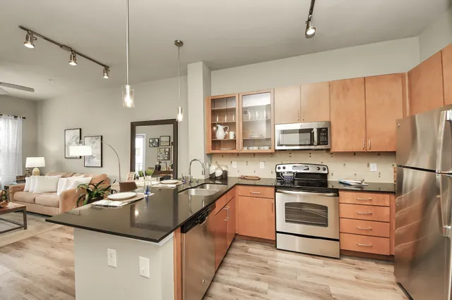 $1,294 | 5455 Richmond Avenue, Unit 3046, Houston, TX 77056