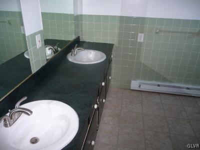 490 Hahn Road Nazareth, PA 18064 - Photo 8 of 15 a bathroom with a sink and mirror