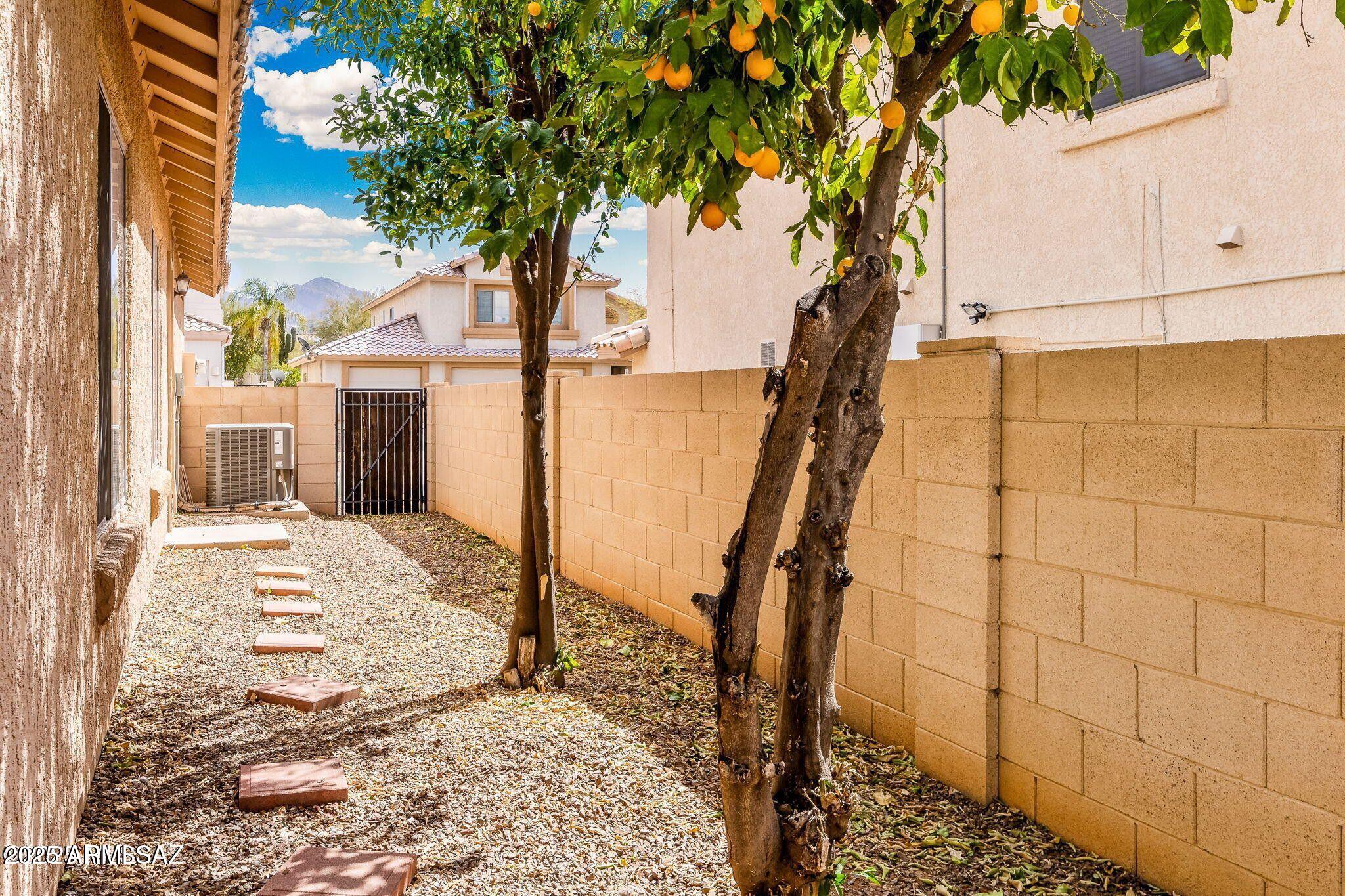 11161 North Par Drive Oro Valley, AZ 85737 - Photo 33 of 35 a view of a backyard of the house
