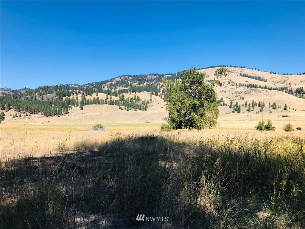 1-4 Customs Road Curlew, WA 99118 - Photo 13 of 20 Gallery Image 13