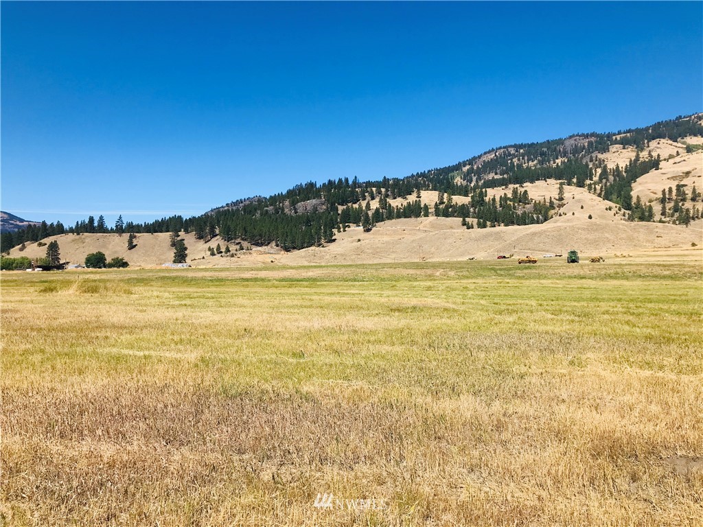 1-4 Customs Road Curlew, WA 99118 - Photo 17 of 20 Gallery Image 17