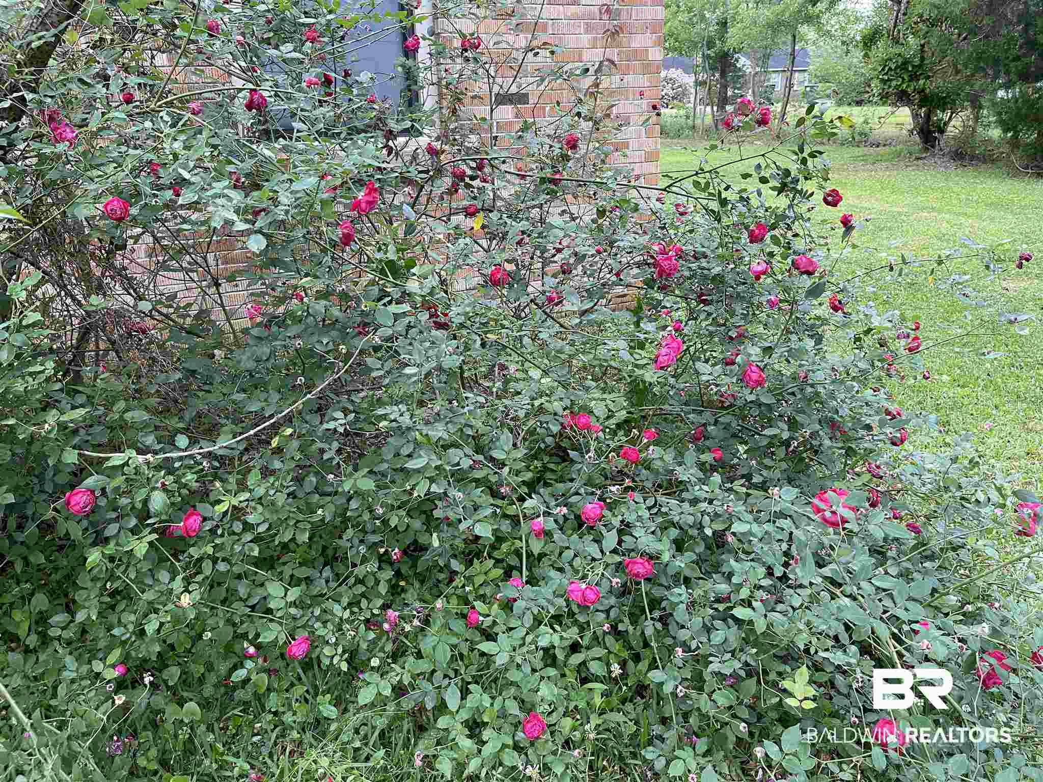 35510 County Road 39 Stapleton, AL 36578 - Photo 29 of 49