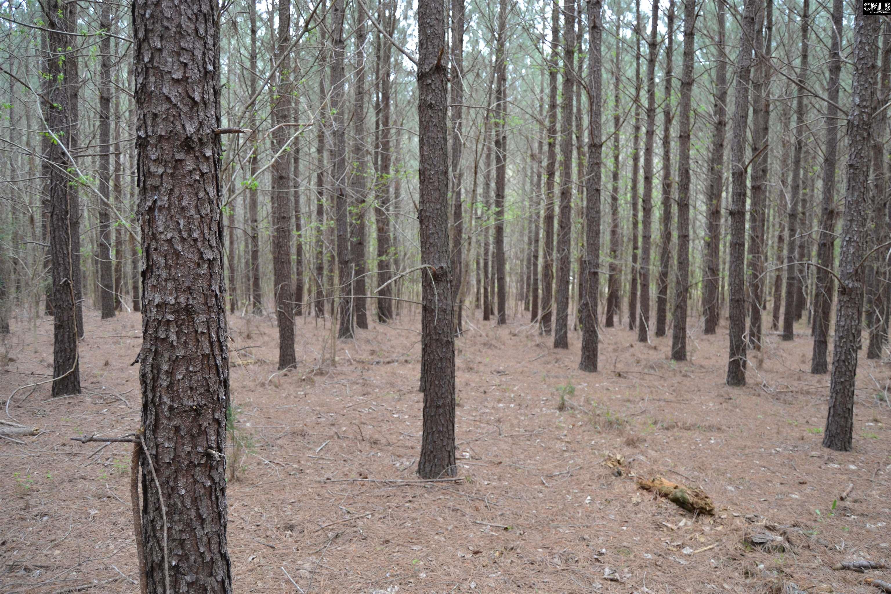 1309 Farming Creek Road Irmo, SC 29063 - Photo 5 of 8