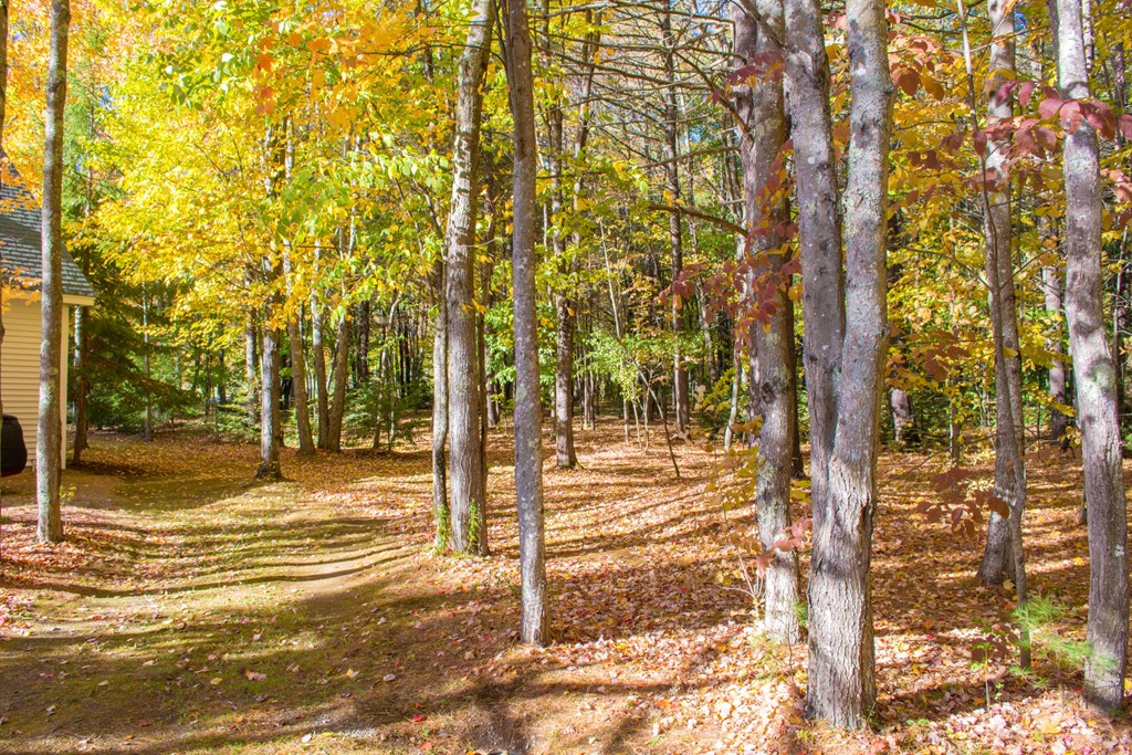 114 Parade Road Barnstead, NH 03218 - Photo 14 of 30