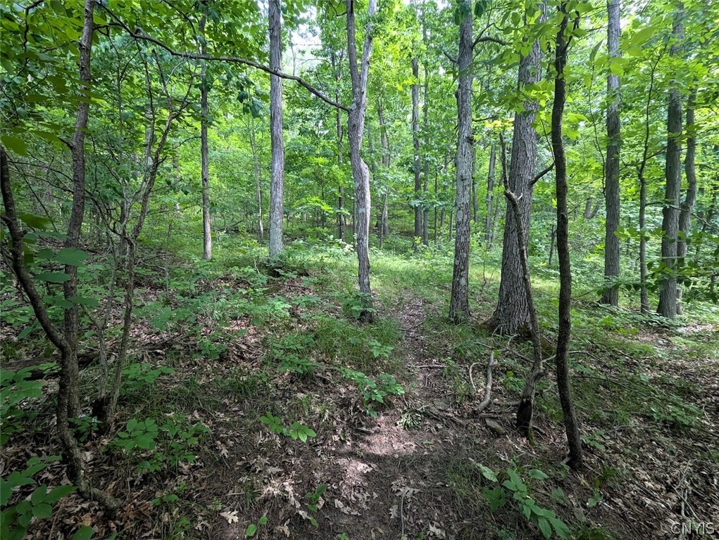 Keifer Hollow Road Dansville, NY 14437 - Photo 7 of 33