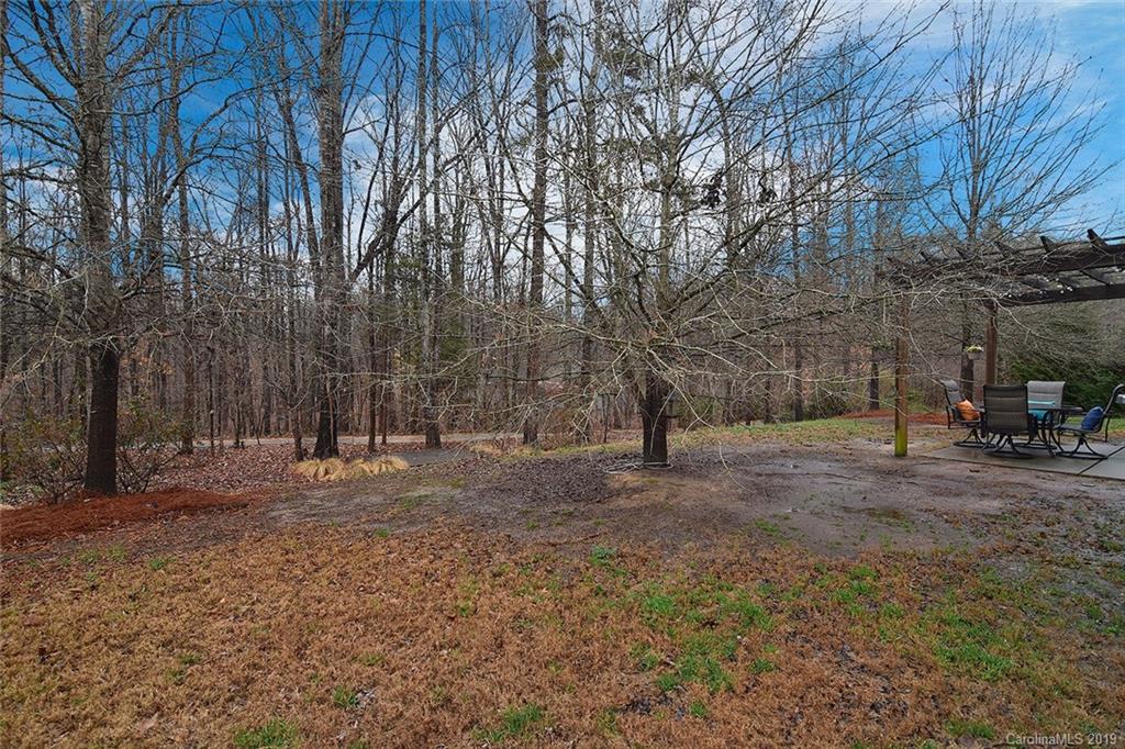 1182 Spicewood Pines Road Fort Mill, SC 29708 - Photo 28 of 28