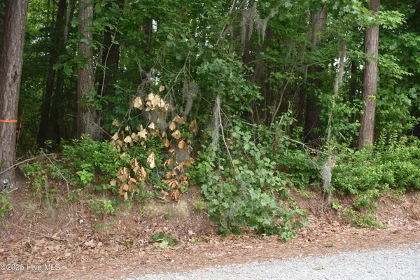 $85,000 | 2-3 River Road, Blounts Creek, NC 27814