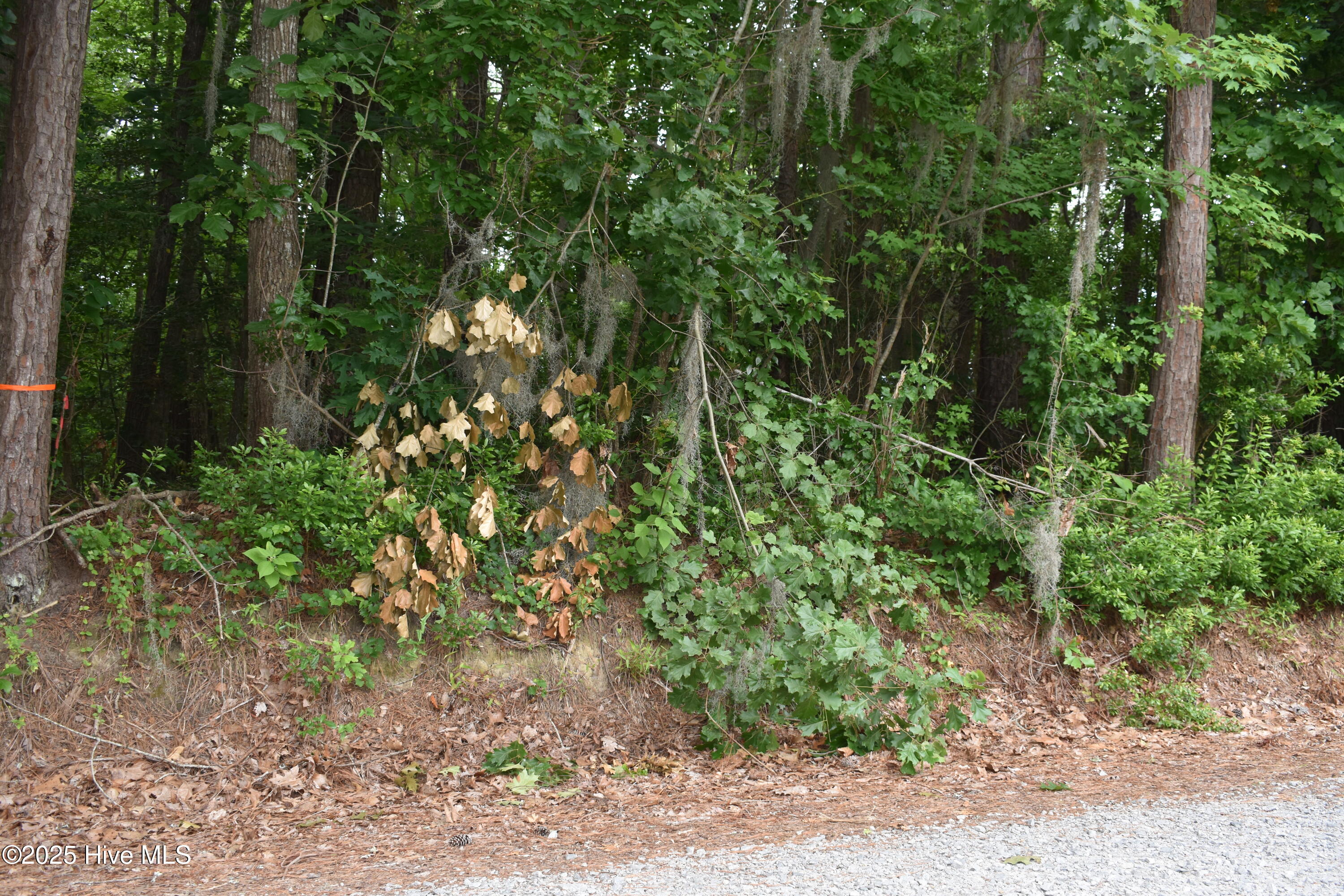 2-3 River Road Blounts Creek, NC 27814 - Photo 2 of 5 1 Lot Photo