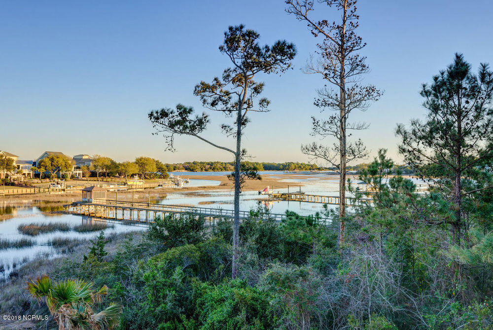 842 Shinn Point Road Wilmington, NC 28409 - Photo 51 of 55 p1344136_37_38_39_40_41_42