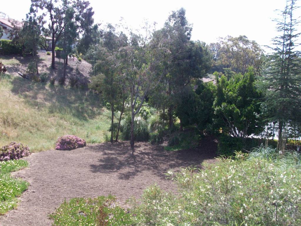 855 Miramonte Drive Santa Barbara, CA 93109 - Photo 18 of 25 a backyard of a house with lots of green space
