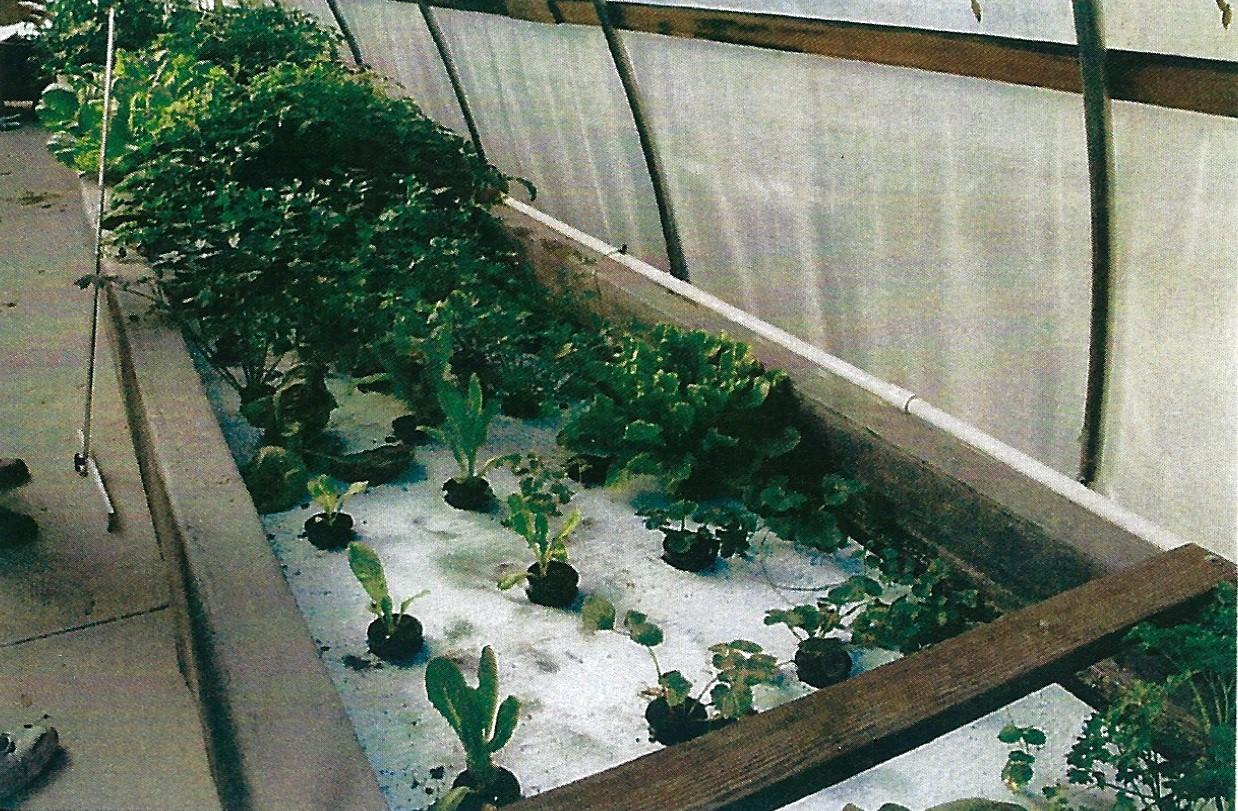 2790 Gentile Road Fort Pierce, FL 34945 - Photo 46 of 52 Aquaponics