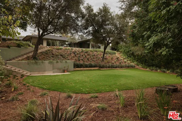 a view of a yard with plants and large trees