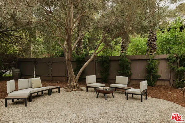 a view of a yard with plants and large trees