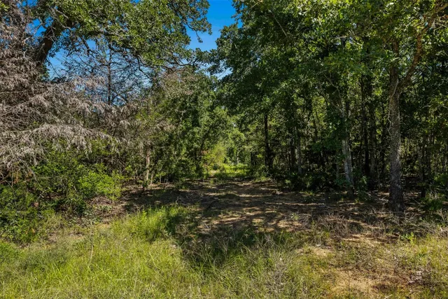 a view of outdoor space and a yard