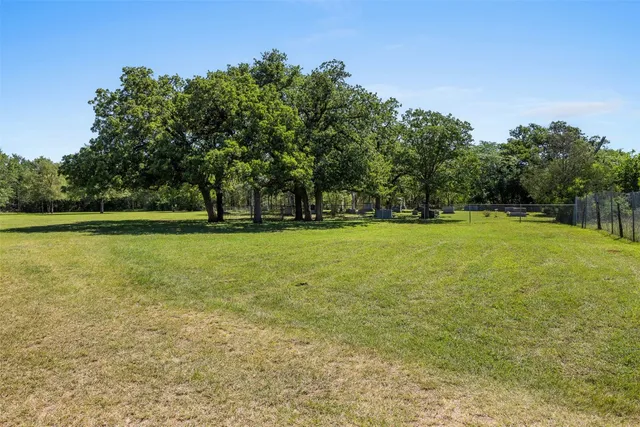 a view of outdoor space with yard and trees in the background