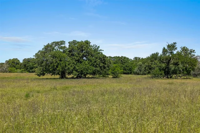 a view of a field with an ocean
