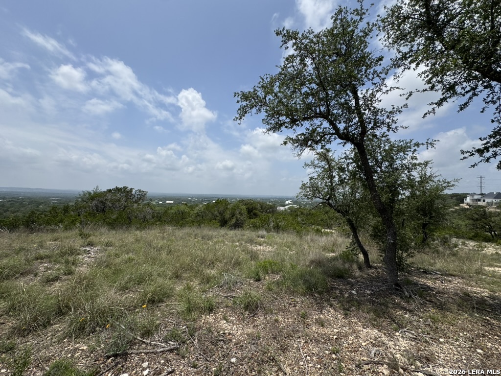 686 Butler Oaks Bulverde, TX 78163 - Photo 7 of 11