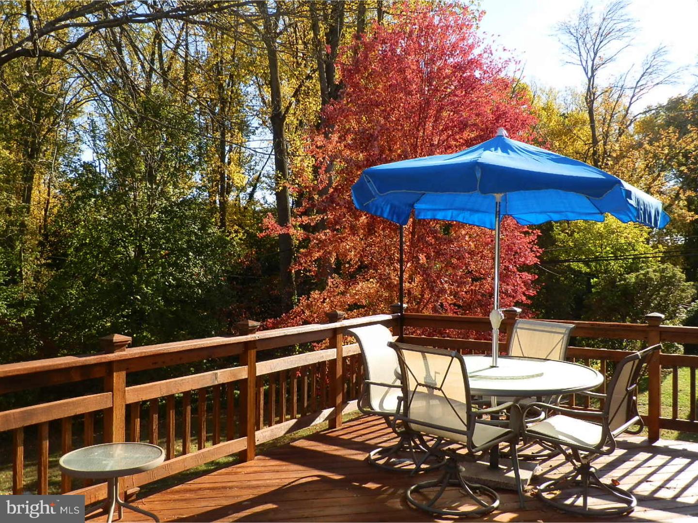 679 Pinetree Road Jenkintown, PA 19046 - Photo 22 of 25 Deck