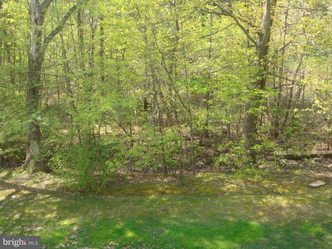 18 Milton Avenue Fallston, MD 21047 - Photo 9 of 12 View from Unit