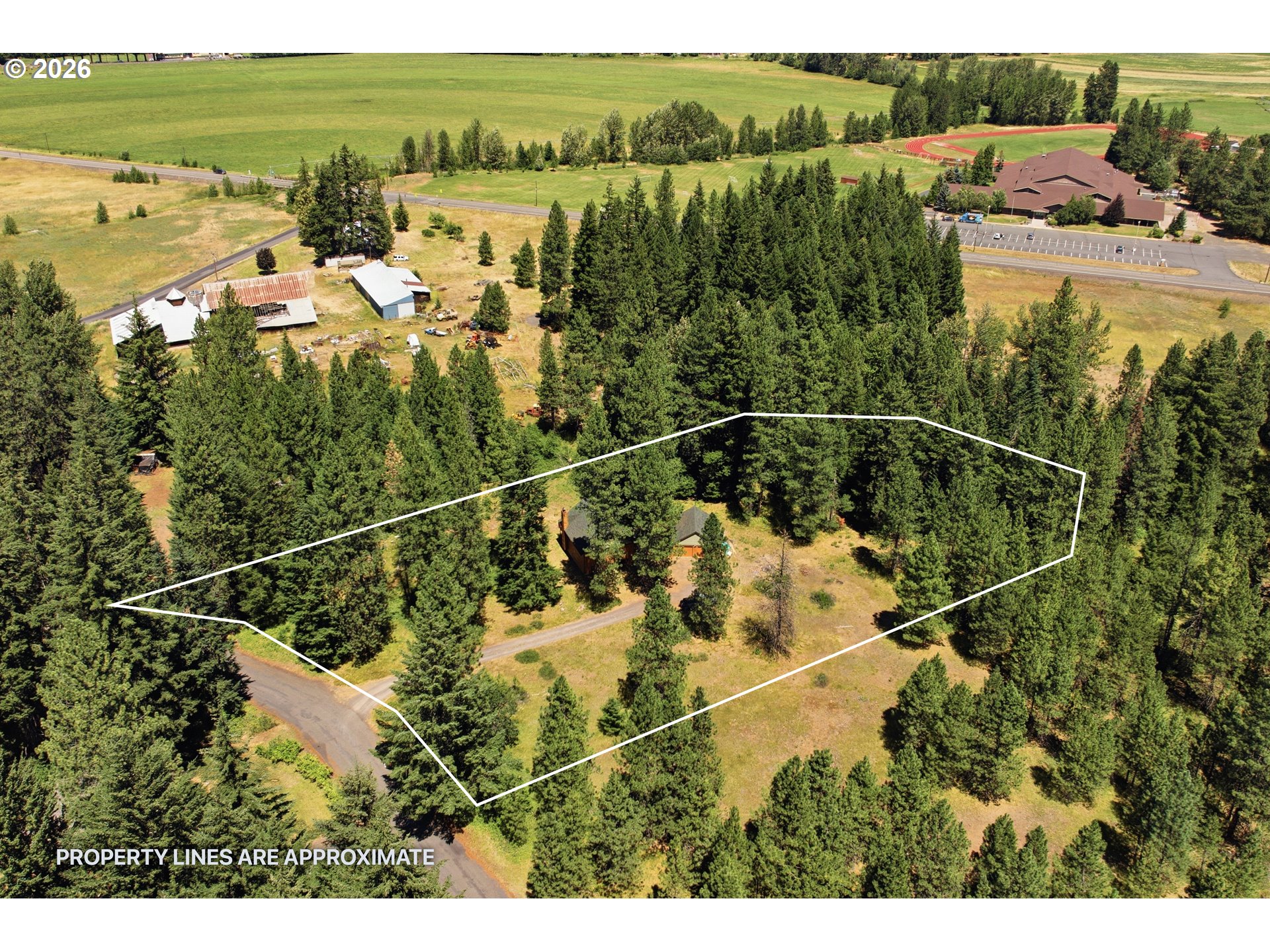 81 Lava Road Trout Lake, WA 98650 - Photo 4 of 48 Gallery Image 4