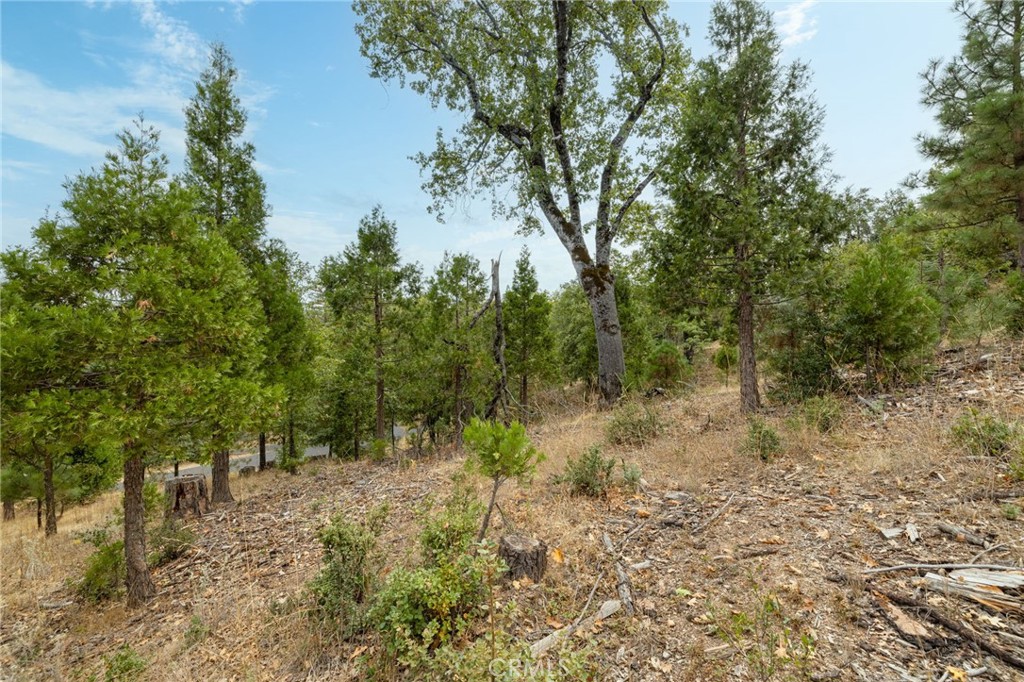 26 Timberview Road North Fork, CA 93643 - Photo 48 of 60