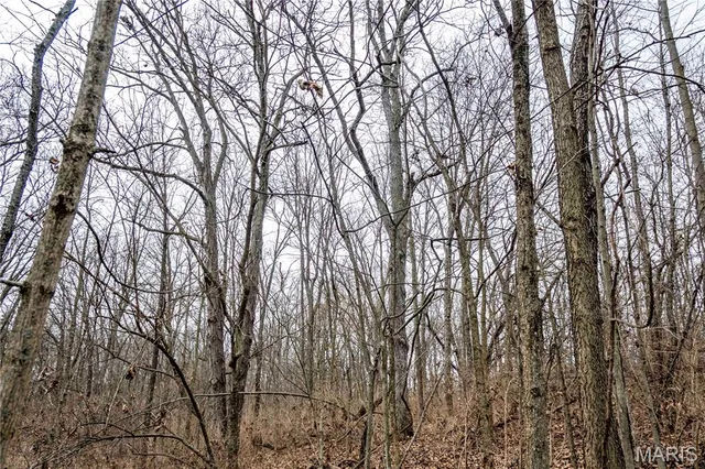 $1 | 581 Hwy Z, Silex, MO 63377