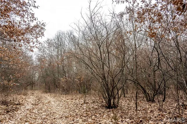 $1 | 581 Hwy Z, Silex, MO 63377