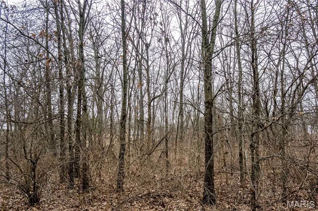 $1 | 581 Hwy Z, Silex, MO 63377