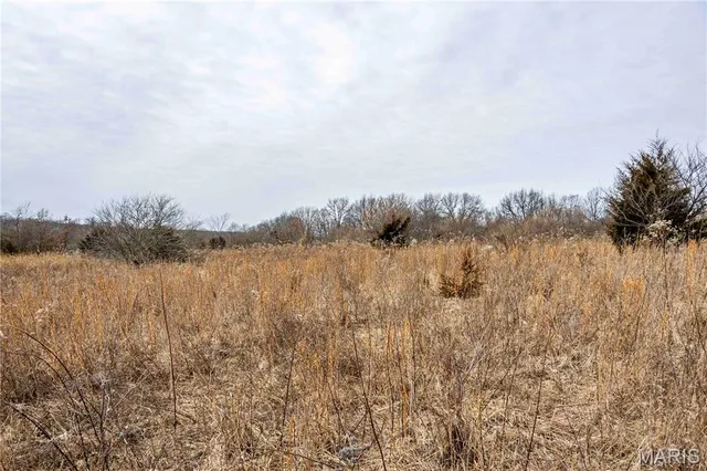 $1 | 581 Hwy Z, Silex, MO 63377