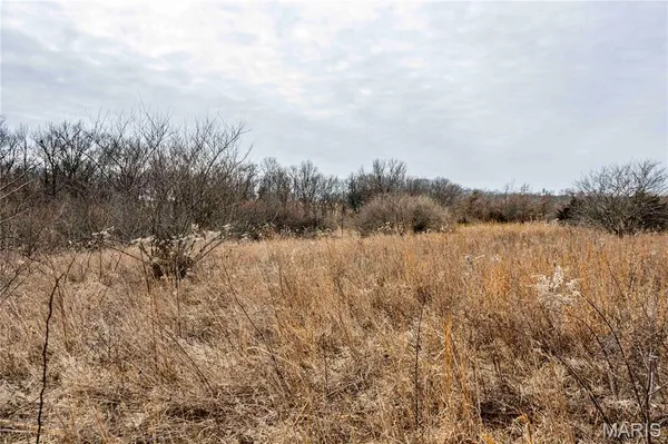 $1 | 581 Highway Z Whiteside Mo 63377, Silex, MO 63377