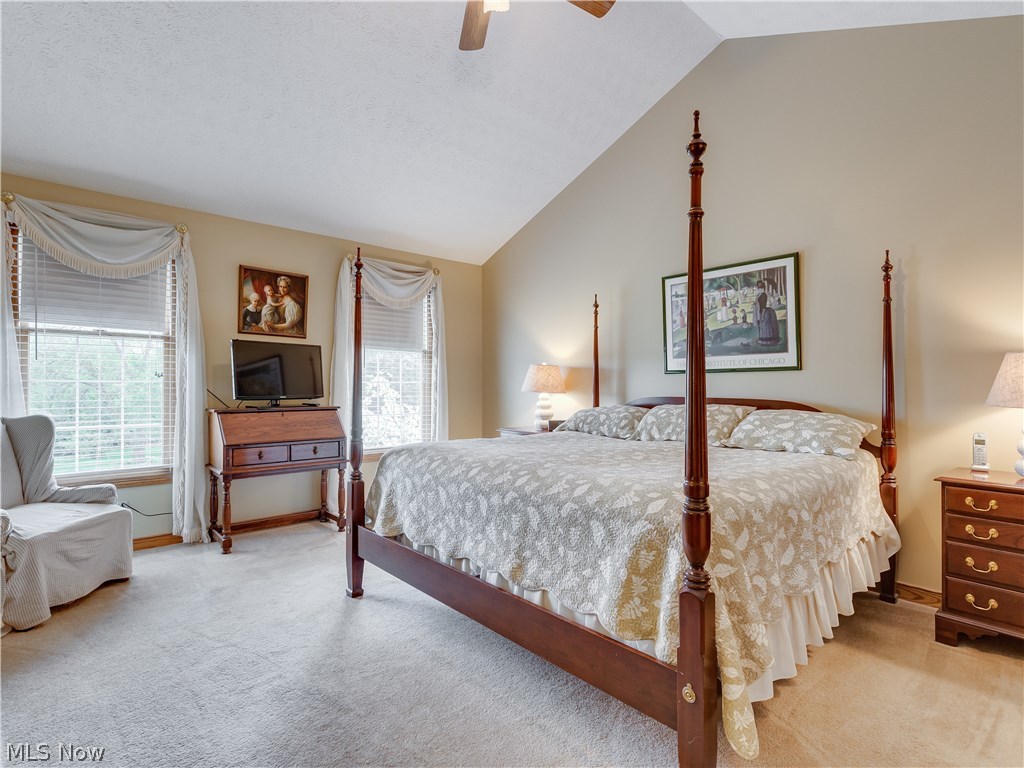 876 Hunter Ridge Circle Fairlawn, OH 44333 - Photo 17 of 35 Spacious Master suite with vaulted ceilings