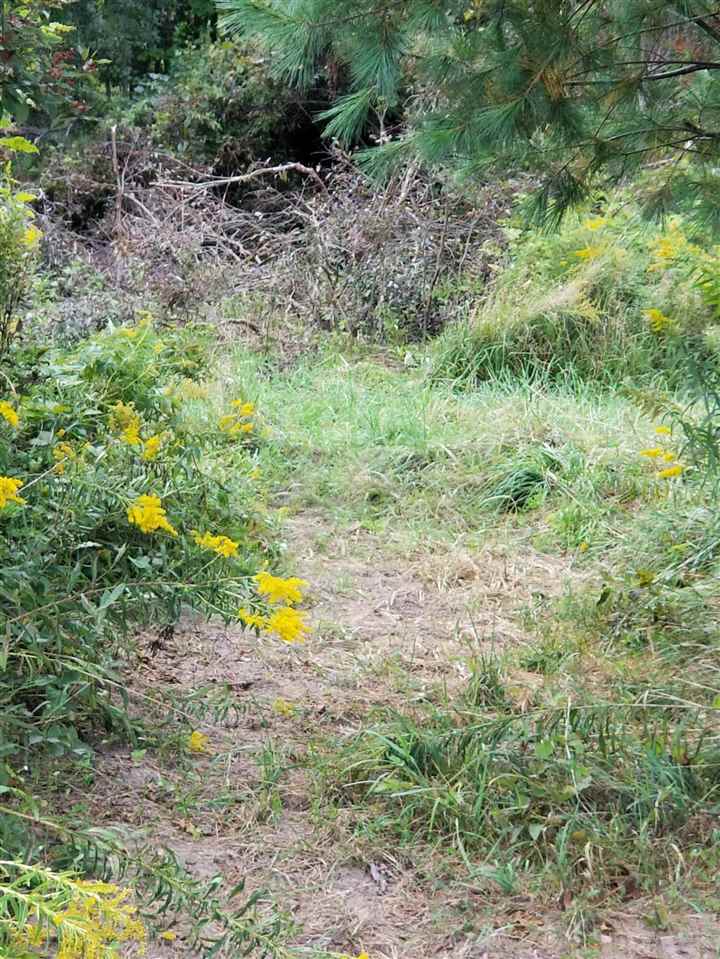 Parcel #1 Parcel Road Comstock Park, MI 49321 - Photo 6 of 24