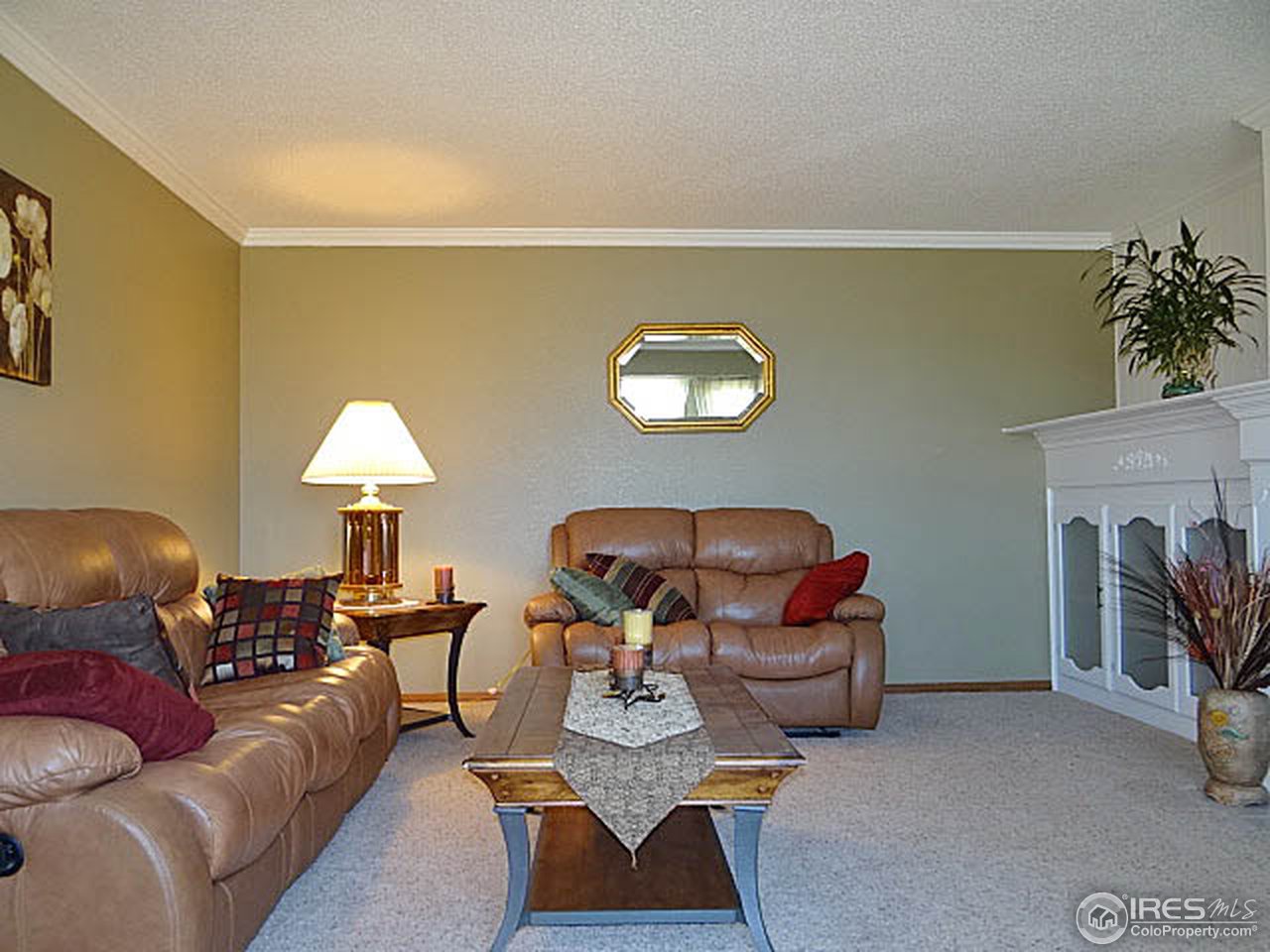 36245 Appy Road Eaton, CO 80615 - Photo 10 of 25 Gallery Image 10