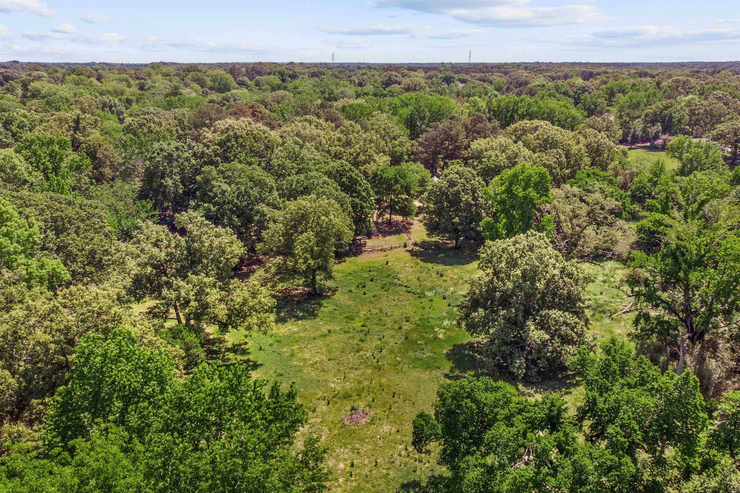 1147 North Collierville Arlington Road Collierville, TN 38017 - Photo 15 of 17 Expansive land parcel featuring a central grassy clearing surrounded by numerous mature trees