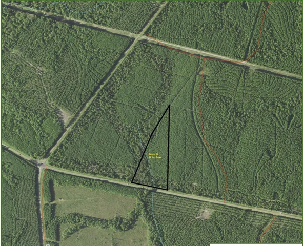 $105,000 | 83 Pineland Tx 76968, Bronson, TX 75930