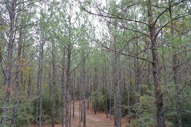 $105,000 | 83 Pineland Tx 76968, Bronson, TX 75930