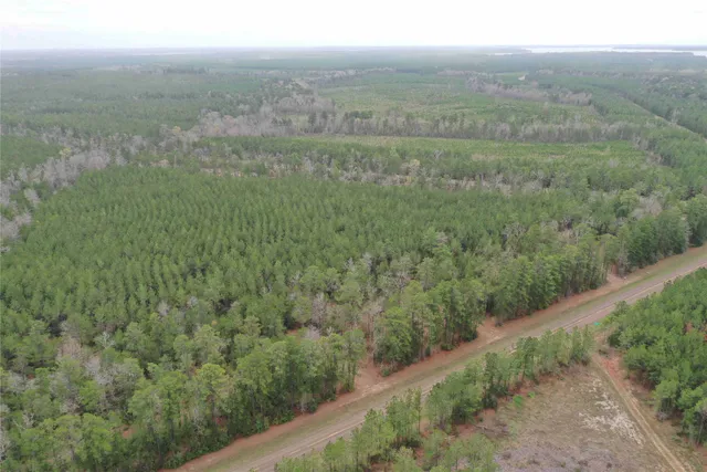 $105,000 | 83 Pineland Tx 76968, Bronson, TX 75930