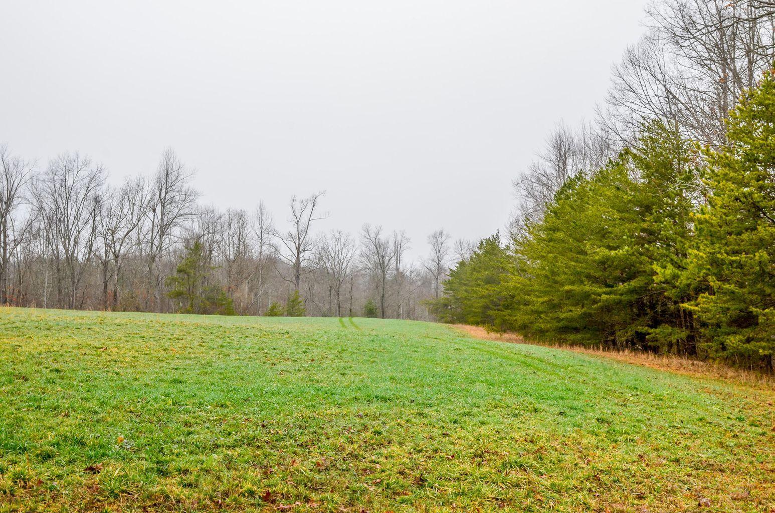 Brewstertown Road Robbins, TN 37852 - Photo 2 of 11 Brewstertown