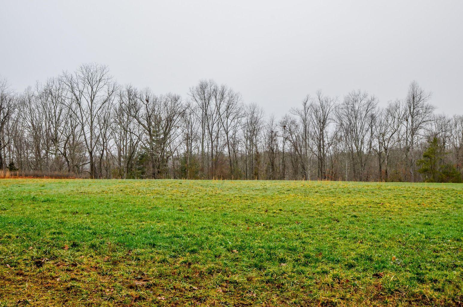 Brewstertown Road Robbins, TN 37852 - Photo 3 of 11 Brewstertown