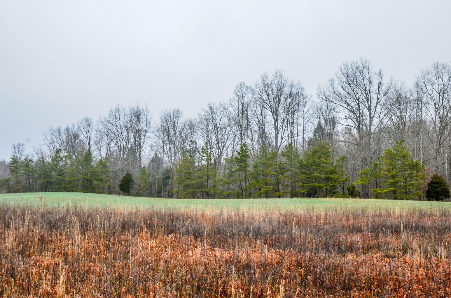 Brewstertown Road Robbins, TN 37852 - Photo 6 of 11 Brewstertown