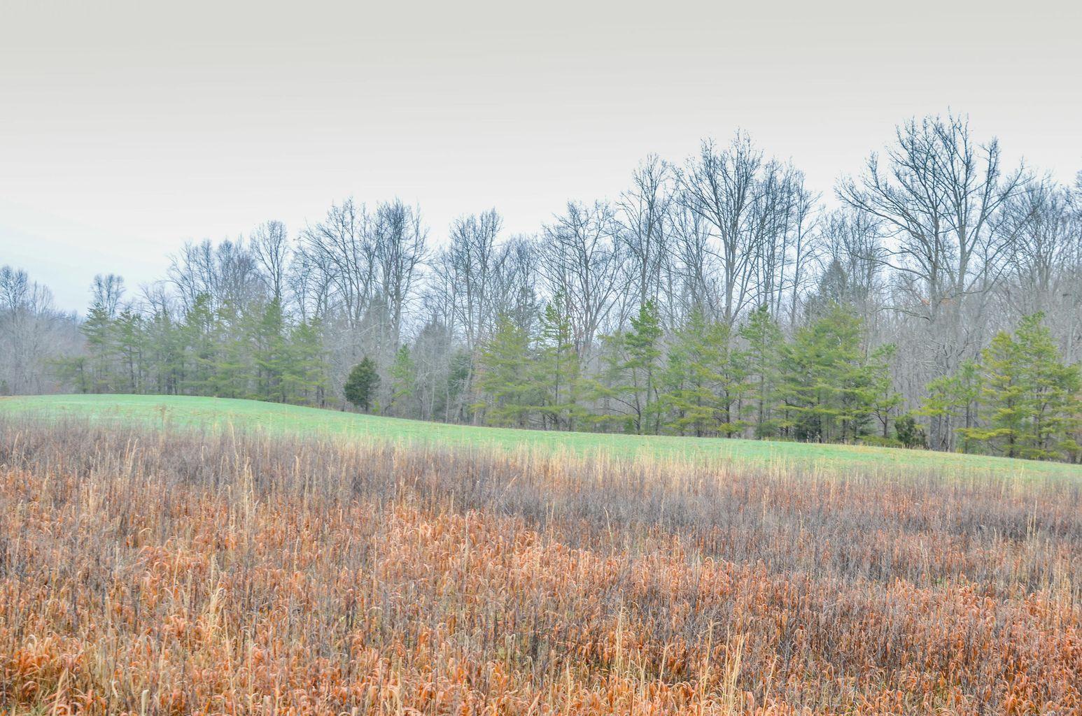Brewstertown Road Robbins, TN 37852 - Photo 8 of 11 Brewstertown