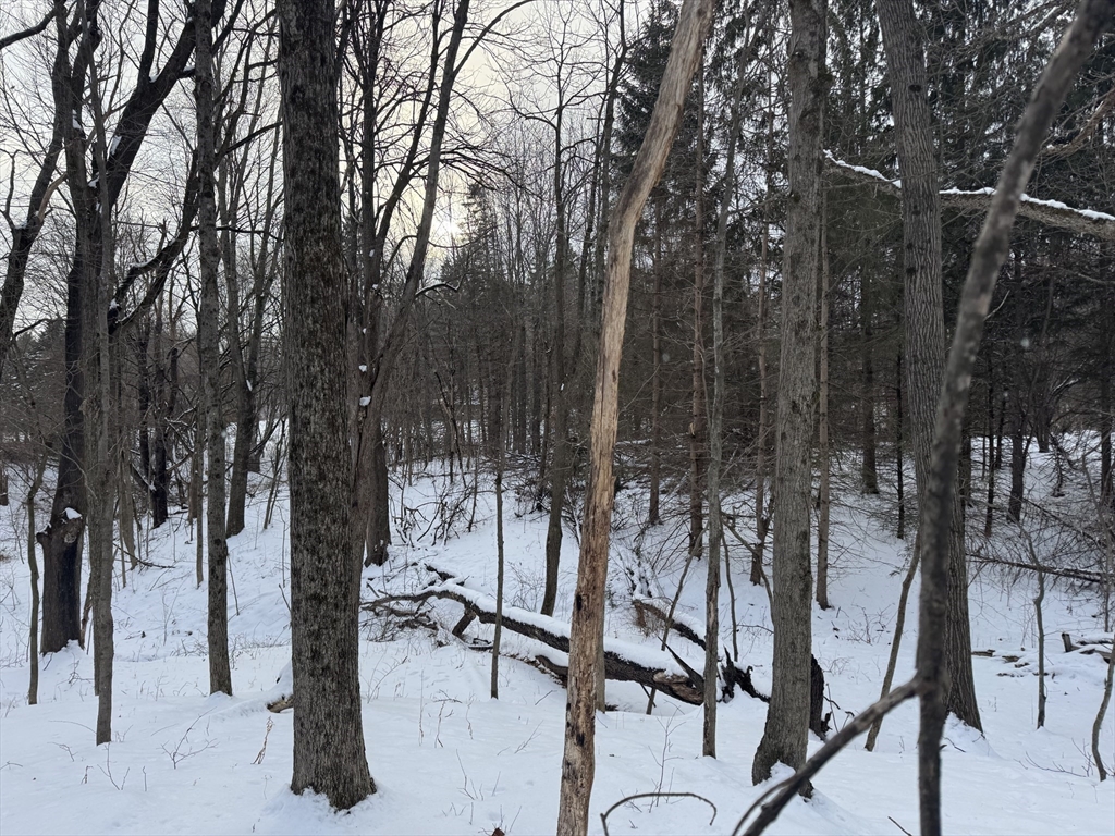 0 Pickett Lane Greenfield, MA 01301 - Photo 3 of 11 a view of outdoor space with seating area